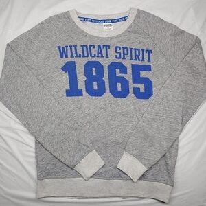 Victoria Secret Love Gray Wildcat Spirit 1865 Sweater Love Pink Size Medium